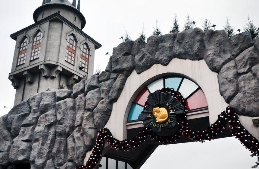 Главный Дед Мороз страны прибыл в Москву 1 фото