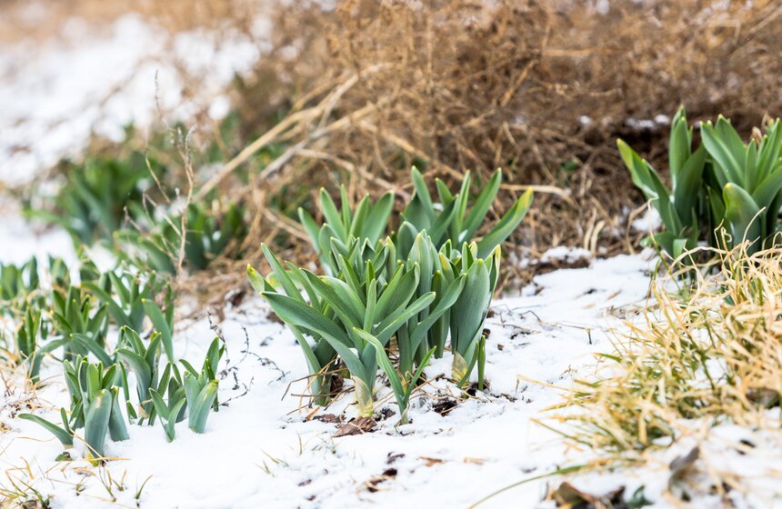 В Москве прошел снегопад 14 фото
