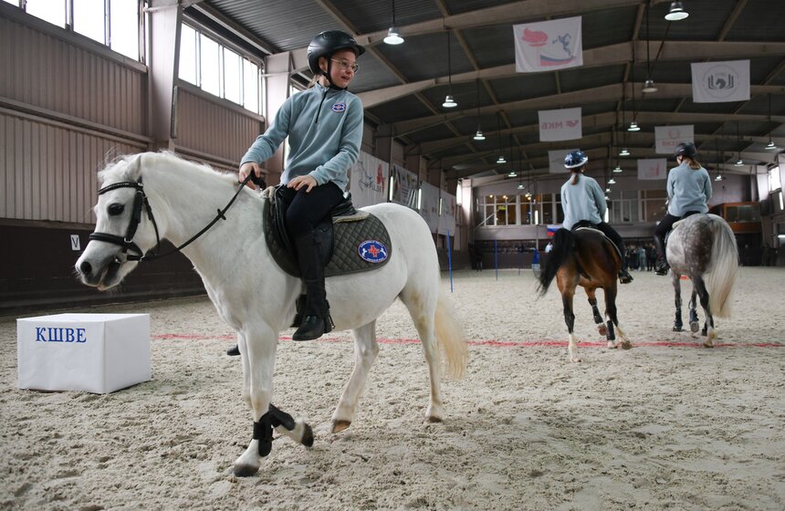 Кремлевская школа верховой езды провела семинар для тренеров пони-клубов 14 фото