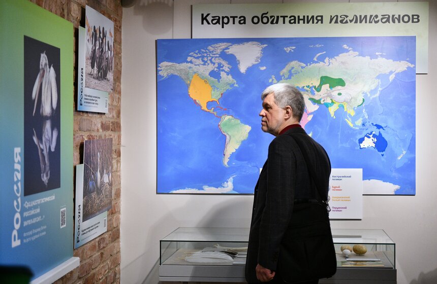 Фотовыставка "Пеликантность. Пеликаны мира" открылась в Московском зоопарке 5 фото