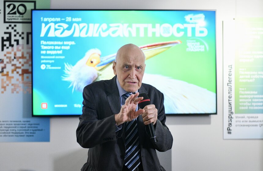 Фотовыставка "Пеликантность. Пеликаны мира" открылась в Московском зоопарке 12 фото