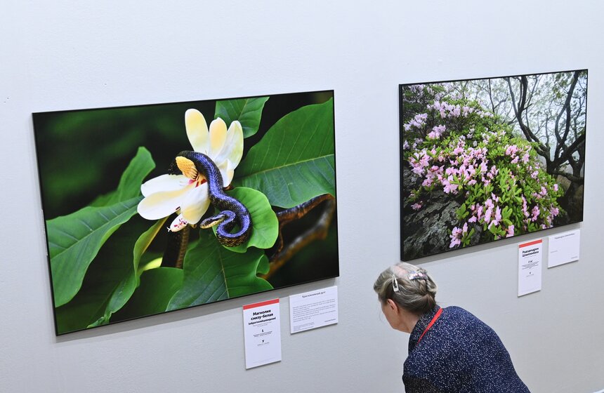 В Москве открылся Общероссийский фестиваль природы "Первозданная Россия" 3 фото