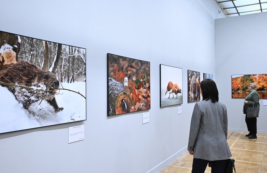 В Москве открылся Общероссийский фестиваль природы "Первозданная Россия" 14 фото