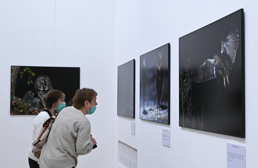 В Москве открылся Общероссийский фестиваль природы "Первозданная Россия" 7 фото