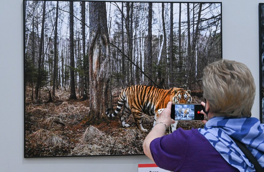 В Москве открылся Общероссийский фестиваль природы "Первозданная Россия" 15 фото
