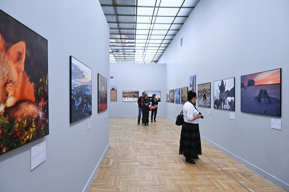 Выставки в москве первозданная россия