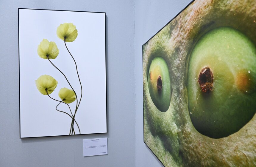 В Москве открылся Общероссийский фестиваль природы "Первозданная Россия" 20 фото