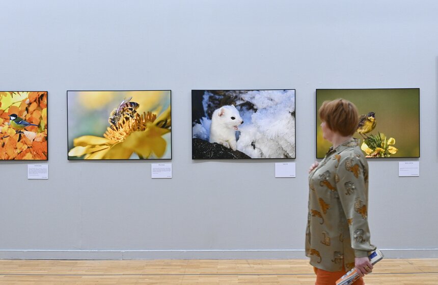 В Москве открылся Общероссийский фестиваль природы "Первозданная Россия" 17 фото