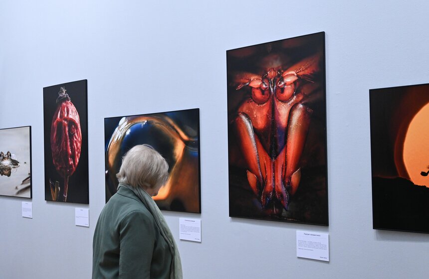 В Москве открылся Общероссийский фестиваль природы "Первозданная Россия" 21 фото