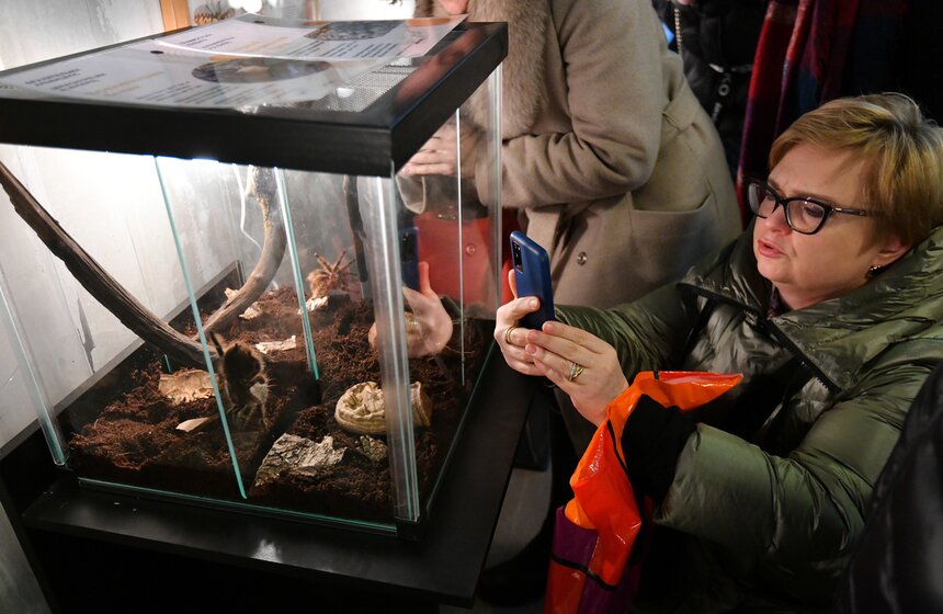 Выставка гигантских пауков и жуков открылась в "Аптекарском огороде" 20 фото