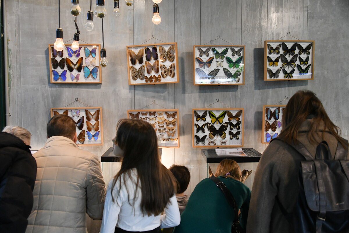 выставка пауков 2024