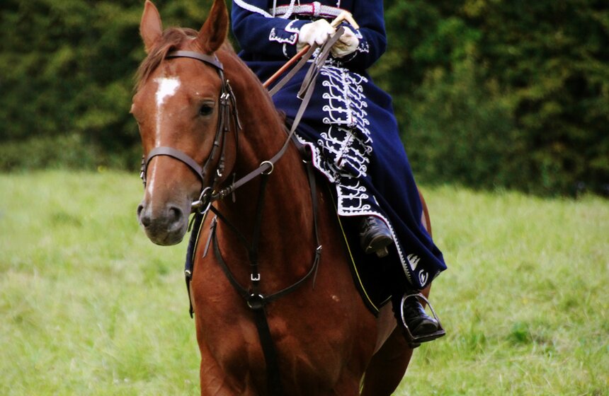 Реконструкция Бородинского сражения 11 фото