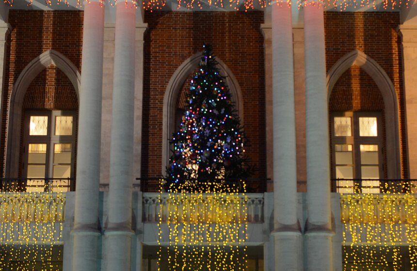 "Куда сходить в новогодние праздники": парк "Царицыно" 19 фото
