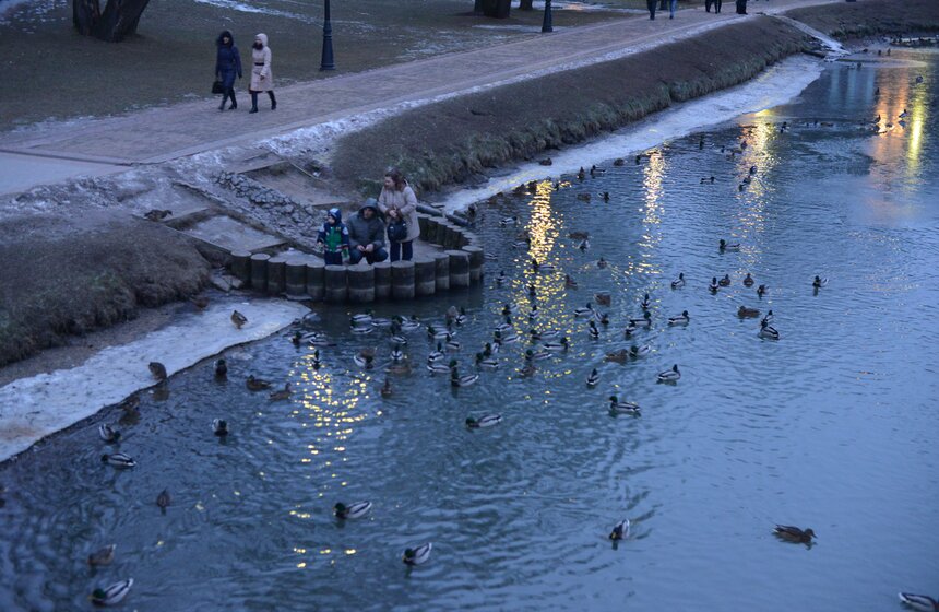 "Куда сходить в новогодние праздники": парк "Царицыно" 7 фото