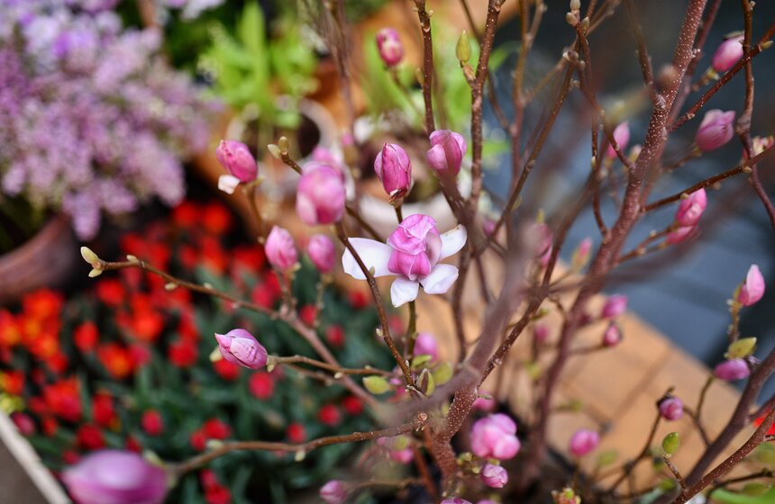 В Москве открылась выставка "Репетиция весны" 4 фото