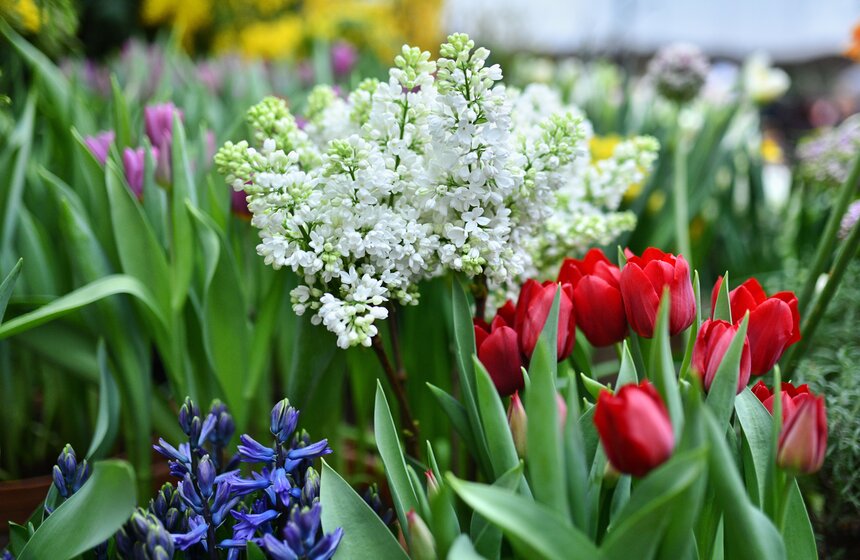 В Москве открылась выставка "Репетиция весны" 13 фото