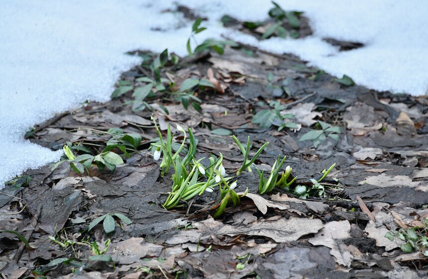 В Москве открылась выставка "Репетиция весны" 23 фото