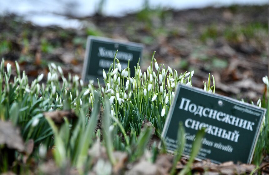 В Москве открылась выставка "Репетиция весны" 24 фото