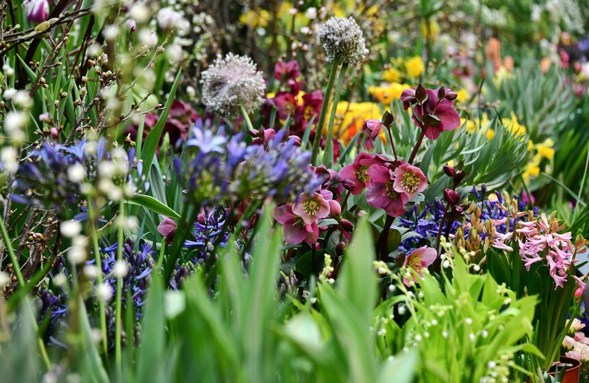 В Москве открылась выставка "Репетиция весны" 11 фото