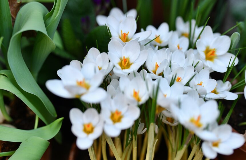 В Москве открылась выставка "Репетиция весны" 9 фото