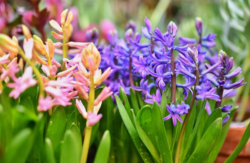 В Москве открылась выставка "Репетиция весны" 6 фото