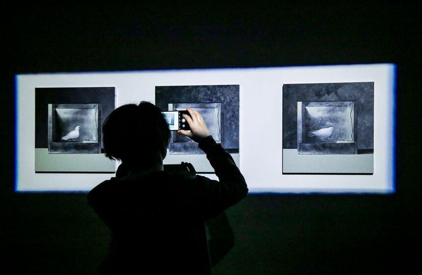 В Москве открылась выставка Мэта Коллишоу "Зона машин" 26 фото