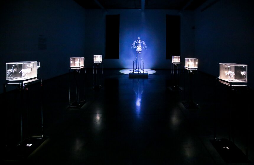 В Москве открылась выставка Мэта Коллишоу "Зона машин" 11 фото