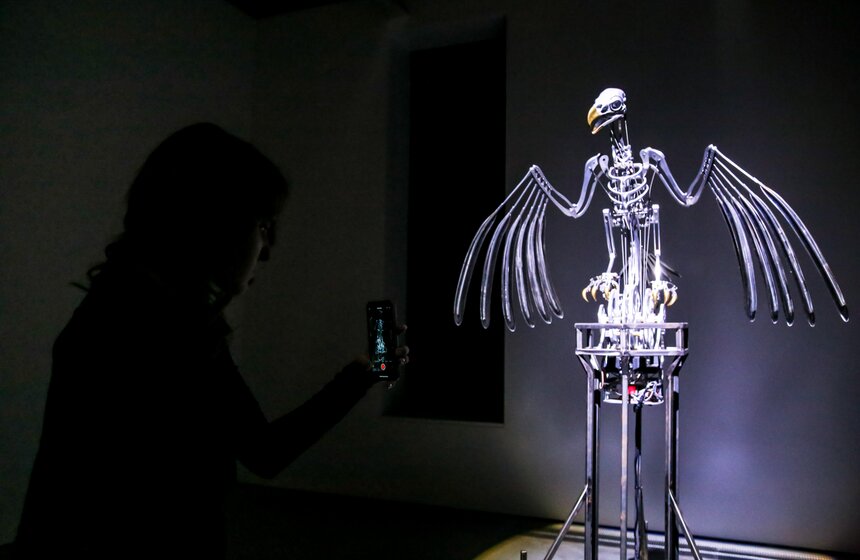 В Москве открылась выставка Мэта Коллишоу "Зона машин" 14 фото