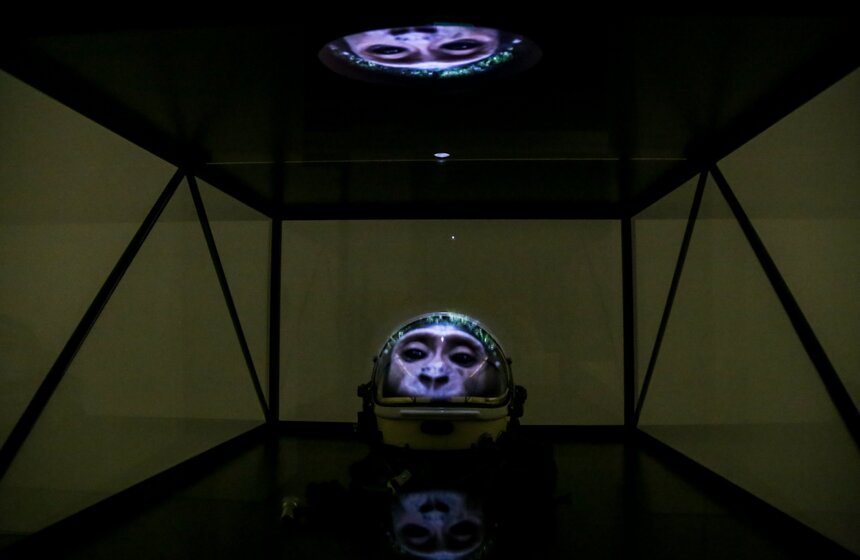 В Москве открылась выставка Мэта Коллишоу "Зона машин" 6 фото