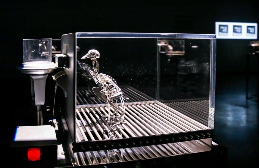 В Москве открылась выставка Мэта Коллишоу "Зона машин" 4 фото