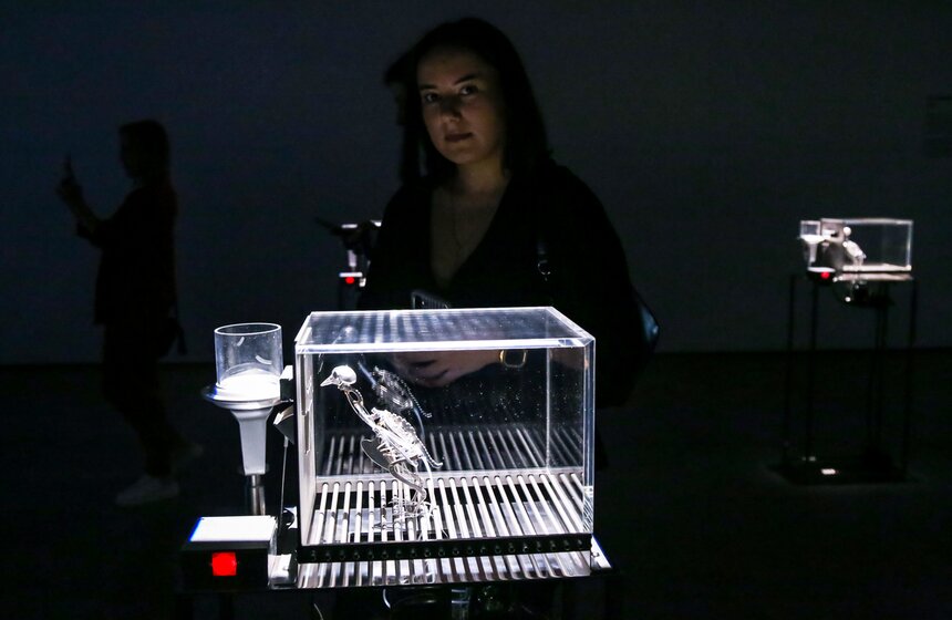 В Москве открылась выставка Мэта Коллишоу "Зона машин" 19 фото