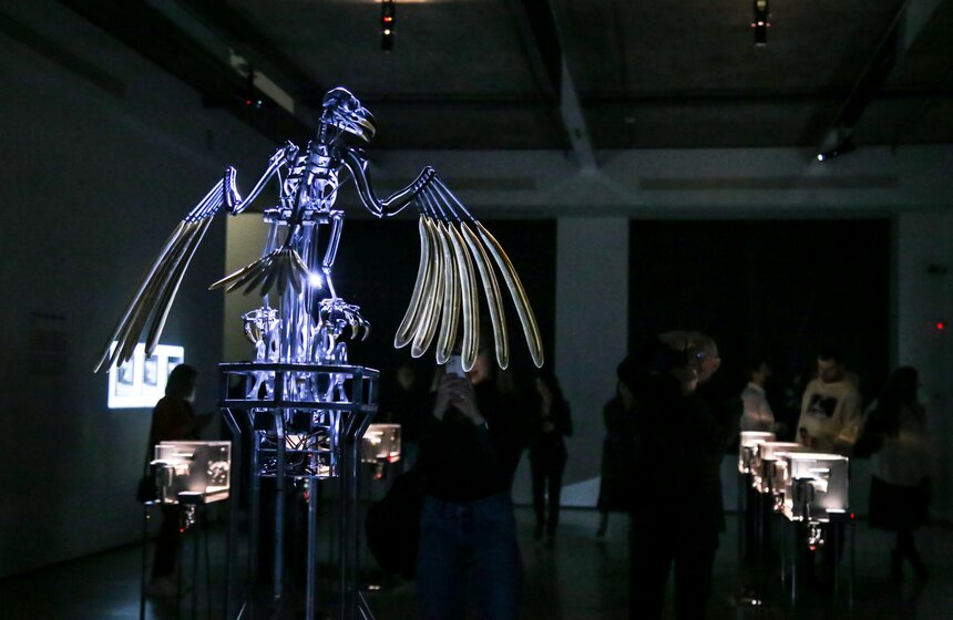 В Москве открылась выставка Мэта Коллишоу "Зона машин" 20 фото