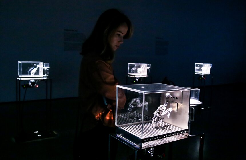 В Москве открылась выставка Мэта Коллишоу "Зона машин" 1 фото