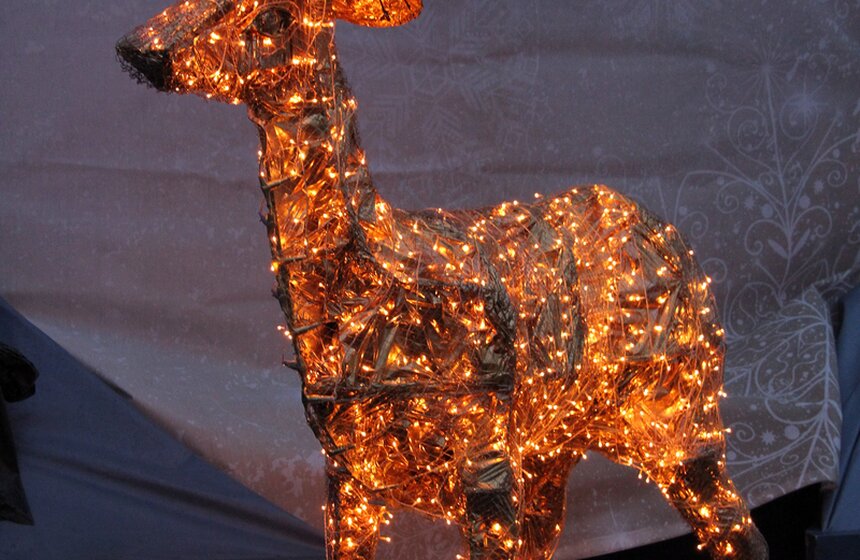 В Саду "Эрмитаж" прошла фермерская ярмарка 9 фото