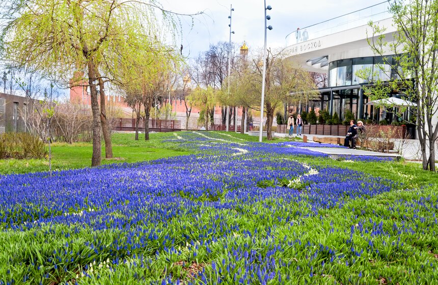В парке "Зарядье" стартовало цветочное шоу "Волны цветения" 2 фото
