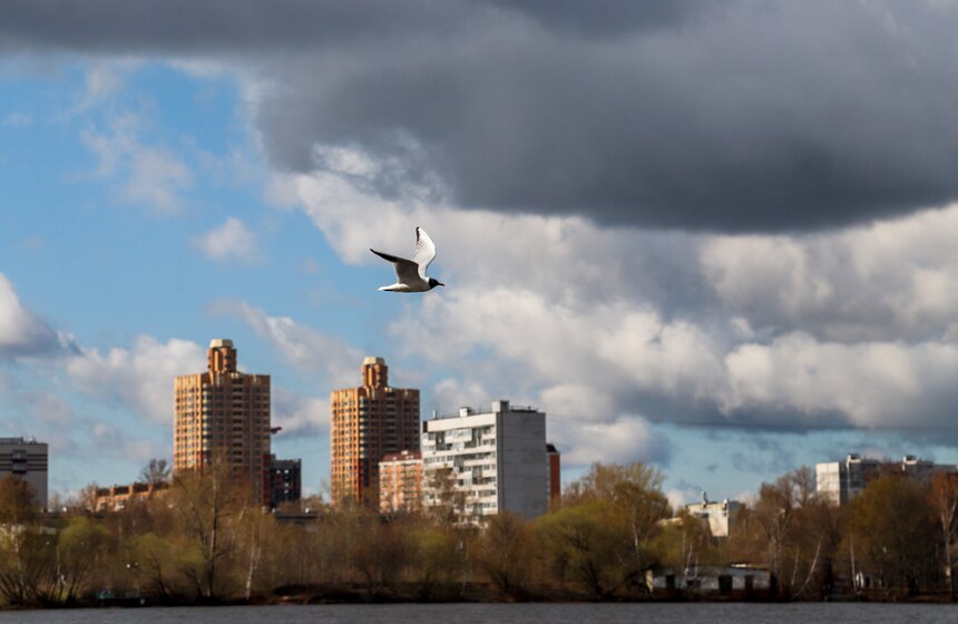 Речной трамвай до Захарково возобновил работу на Северном речном вокзале 21 фото