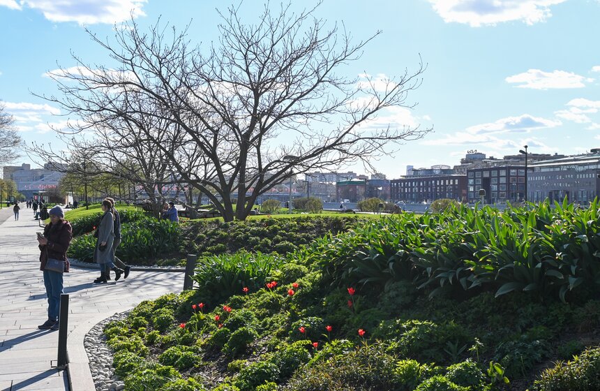 Москвичей предупредили о колебаниях погоды в ближайшие дни 12 фото