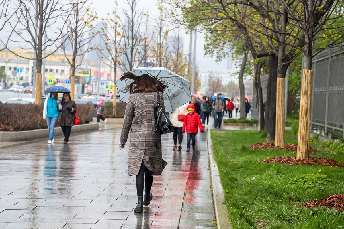 Неприятная погода. Дождь в Москве. Небольшой дождь. Дождливый день фото. Похолодание в Москве.