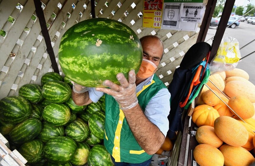 В Москве заработали 250 бахчевых развалов