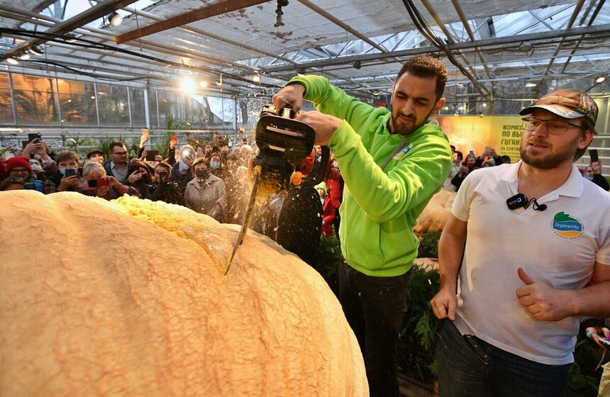 В "Аптекарском огороде" прошло торжественное вскрытие самой большой тыквы