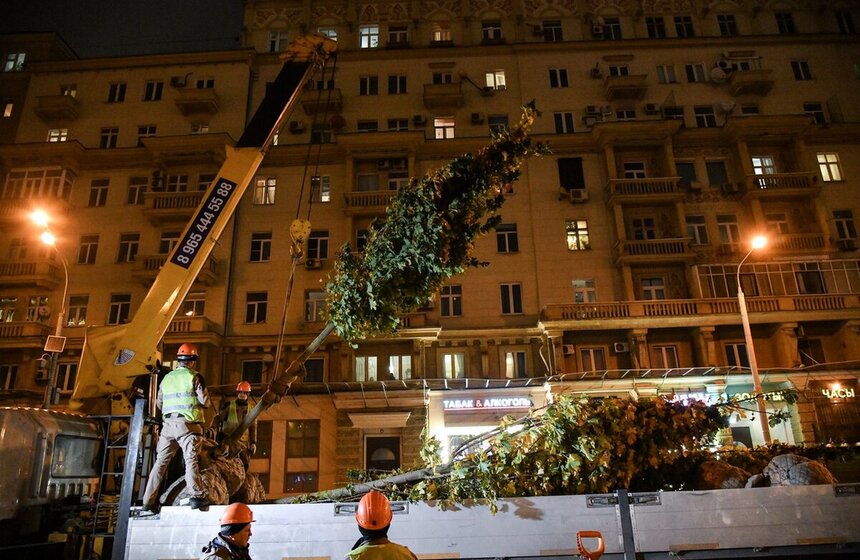 В столице начали высадку деревьев на улицах и вылетных магистралях
