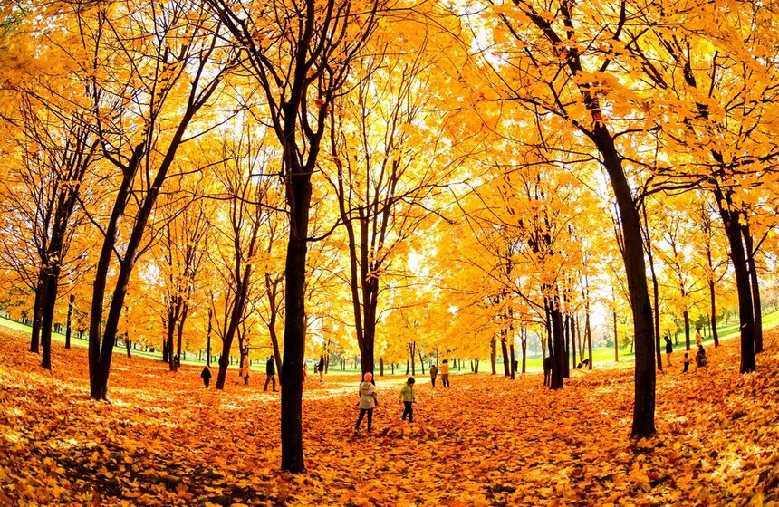 Золотая осень в Центральной России