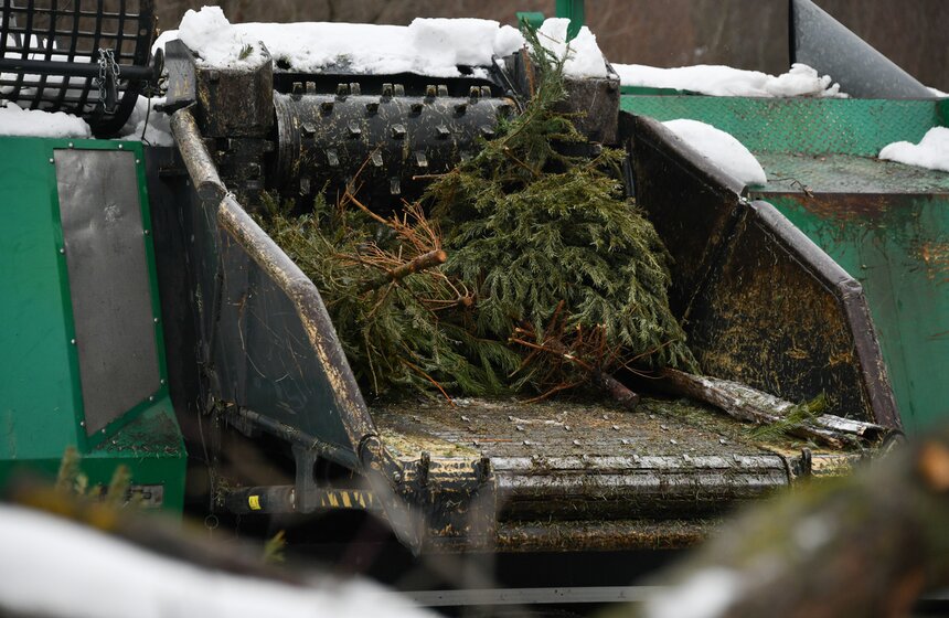 В Москве продолжается традиционная экологическая акция "Елочный круговорот" 14 фото