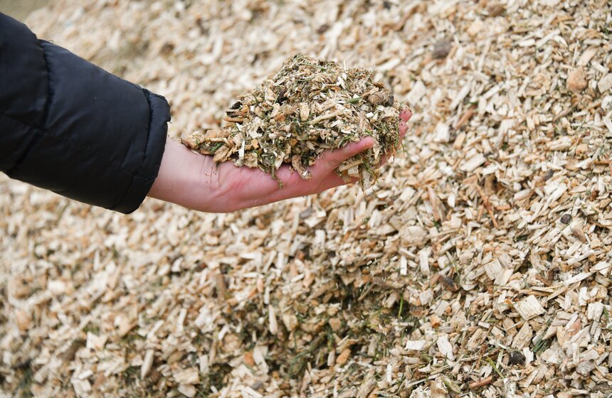 В Москве продолжается традиционная экологическая акция "Елочный круговорот" 20 фото