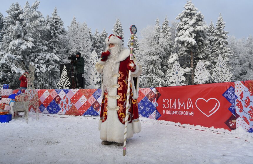 Главную новогоднюю ель России спилили в Подмосковье 16 фото