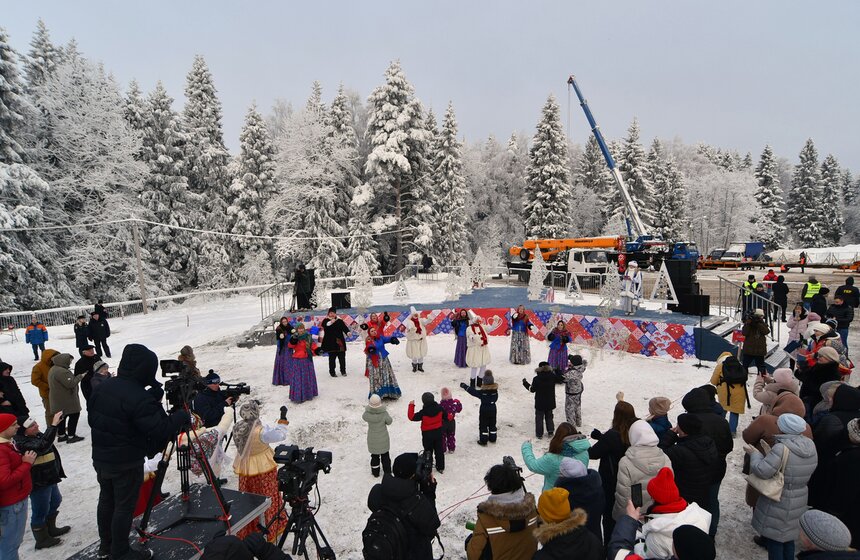 Главную новогоднюю ель России спилили в Подмосковье 13 фото