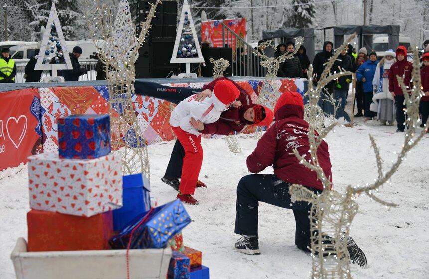 Главную новогоднюю ель России спилили в Подмосковье 23 фото