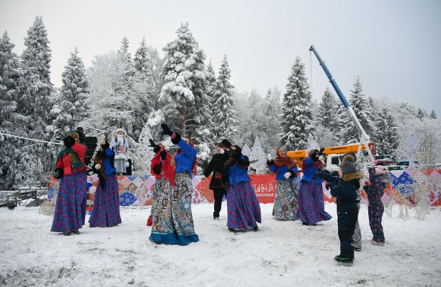 Главную новогоднюю ель России спилили в Подмосковье 20 фото