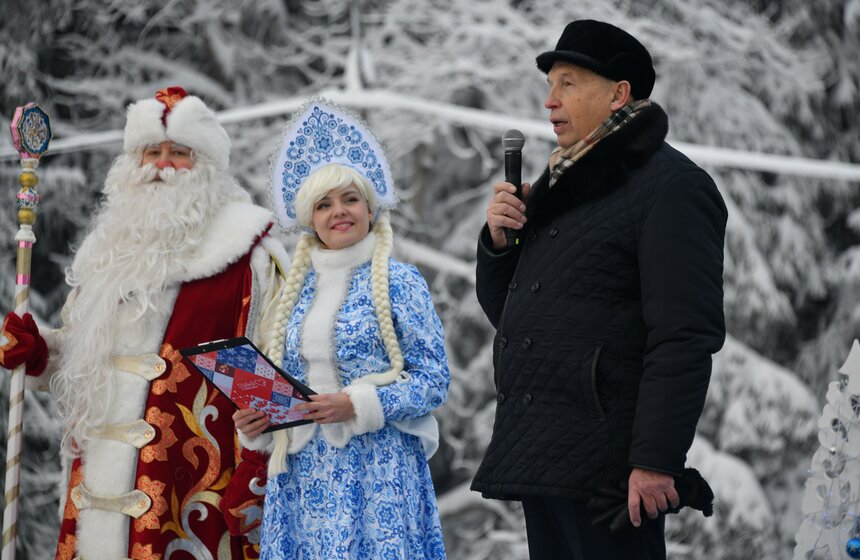 Главную новогоднюю ель России спилили в Подмосковье 26 фото