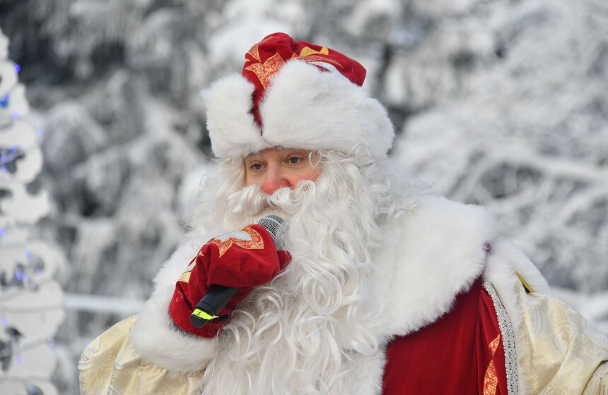 Главную новогоднюю ель России спилили в Подмосковье 10 фото